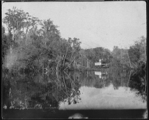 On the Ocklawaha [i.e. Oklawaha], Florida