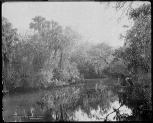 Down the Tomoka, Florida