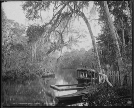 A Landing on the Tomoka, Florida