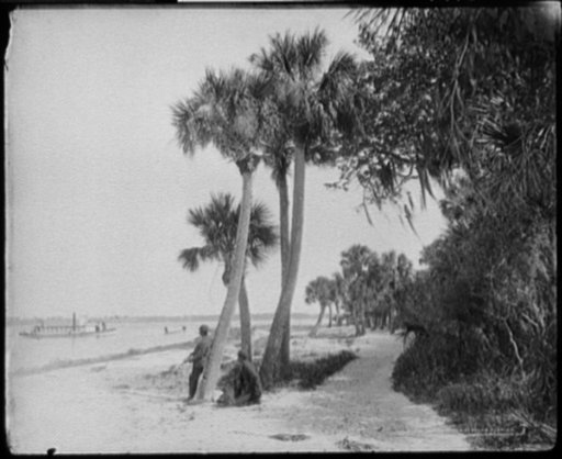 Indian River at Cocoa, Fla.