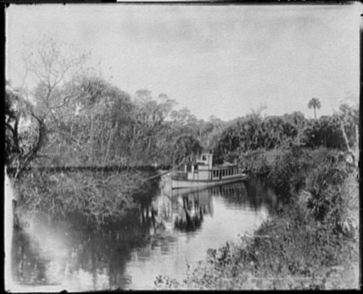 Sebastian Creek, near Indian River, Florida