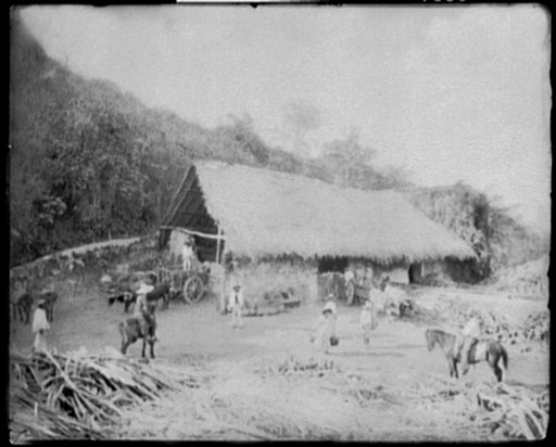 Sugar mill, Hacienda, Temasopo [i.e. Tamasopa], Mexico