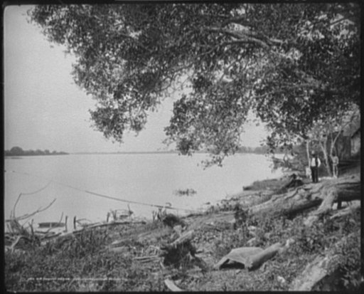 The Rio Panuco, Mexico