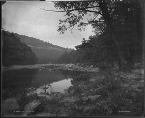Cheat River, water level