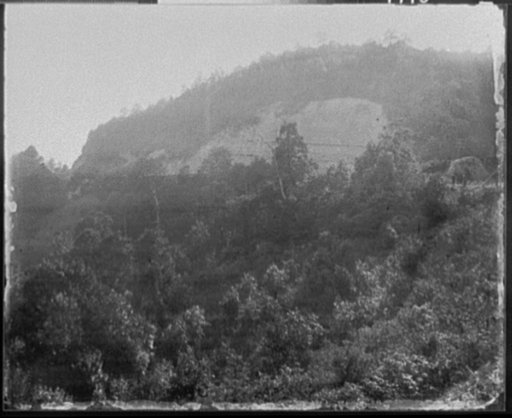 Cranberry Summit, Mt. Dunham