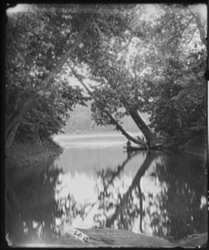 The Potomac, Virginia side