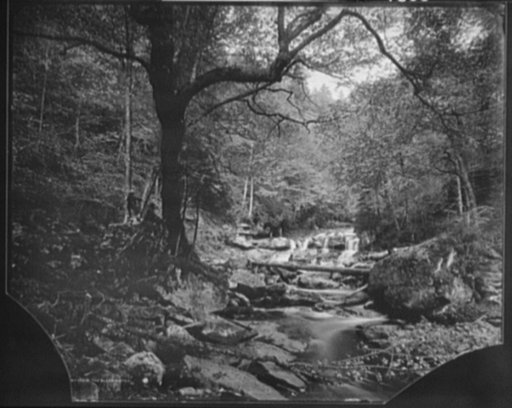 North Fork of the Blackwater