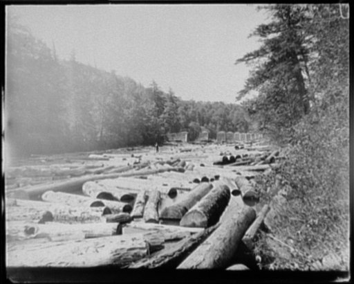 Pool with logs, Camden