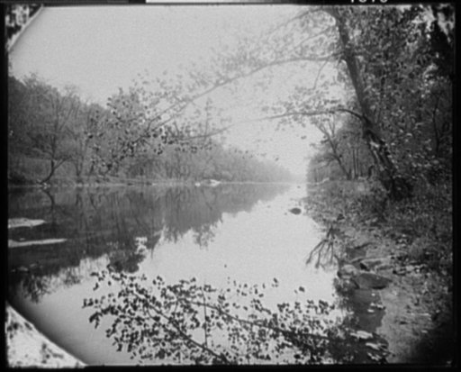 Battlefield at Brandywine