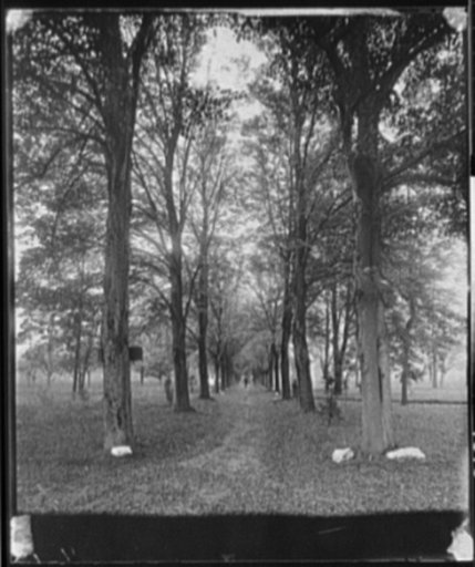 Brandywine Springs, Linden Grove, Penn.
