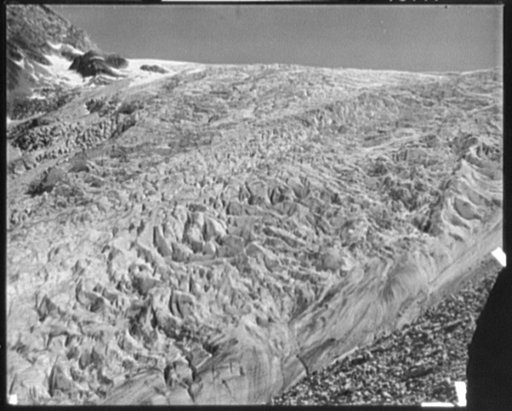 Illecillewaet Glacier from glacier crest, Selkirk Mtns., British Columbia, Canada