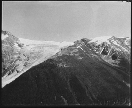 Illecillewaet Glacier & glacier crest, Selkirk Mts., British Columbia