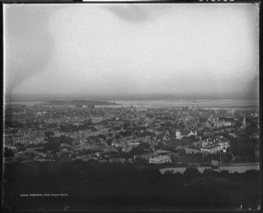 Montreal from Mount Royal