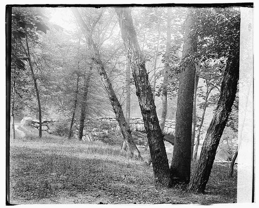 Rock Creek Park