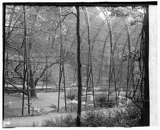 Zoo Park