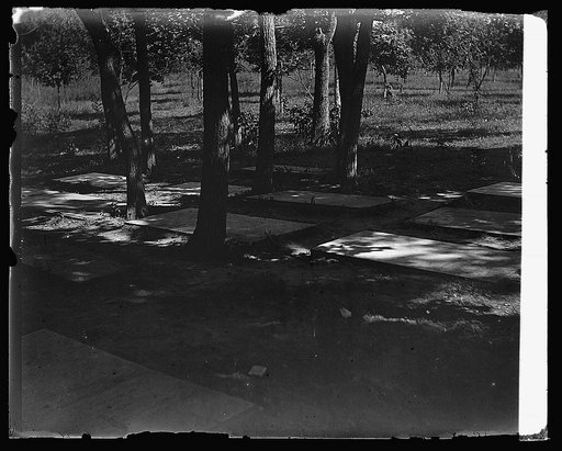 Burial Ground, Marshall Hall