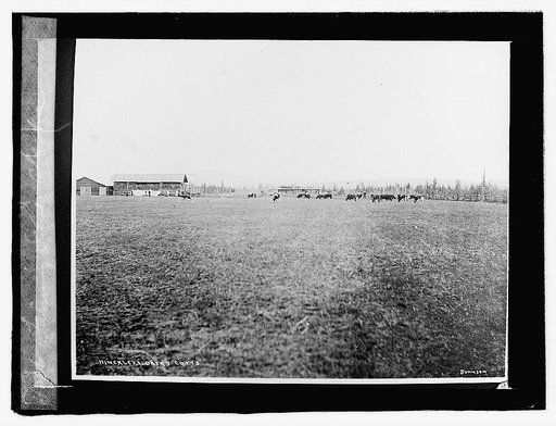 Farming Scene, Alaska