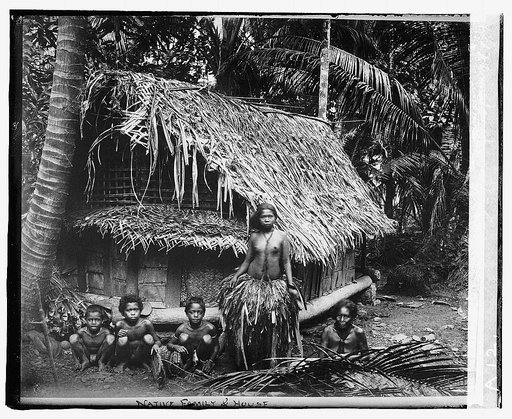 So. Sea Islands, native family & house