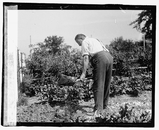 County Garden