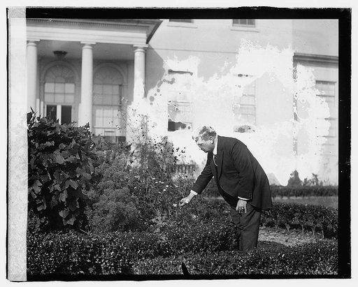 Sen. Hiram Johnson