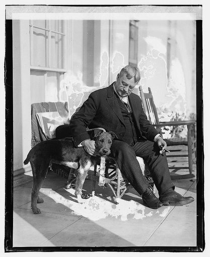 Senator Hiram Johnson