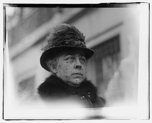 Mrs. A. Mitchell Palmer