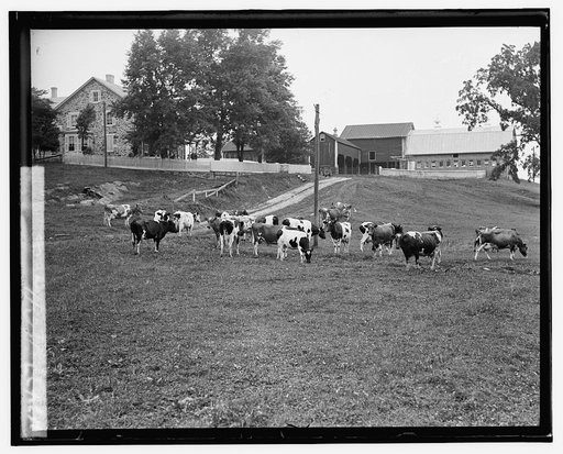 H. C. Rogers, [Hamilton, VA