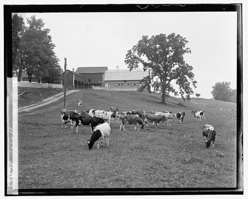 H. C. Rogers, [Hamilton, VA