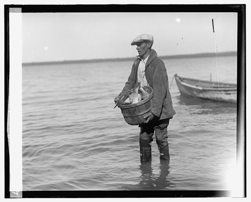 Shad fishing on Potomac