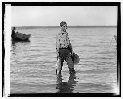 Shad fishing on the Potomac