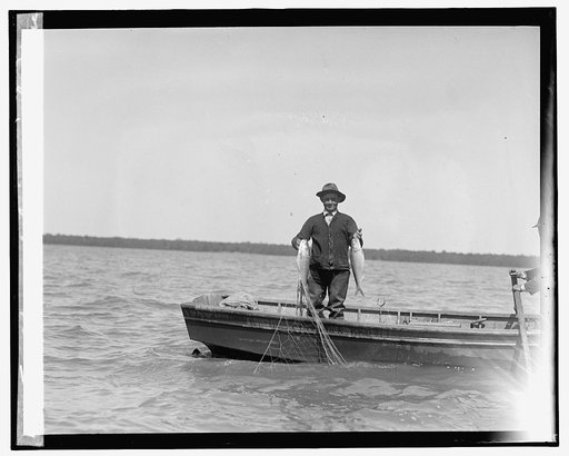 Shad fishing on the Potomac