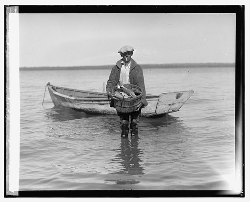 Shad fishing on the Potomac