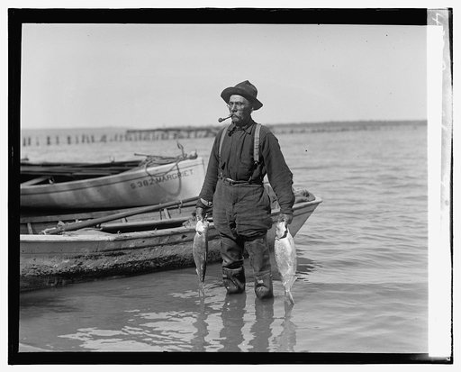 Shad fishing on the Potomac