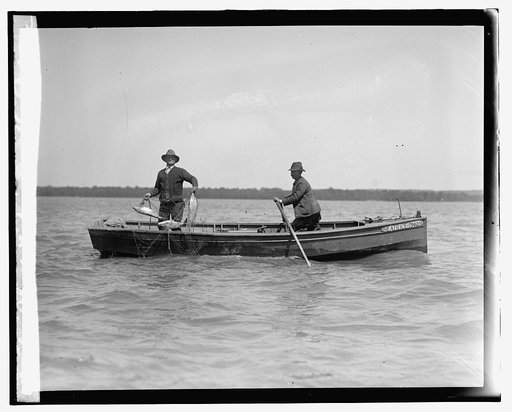 Shad fishing on the Potomac