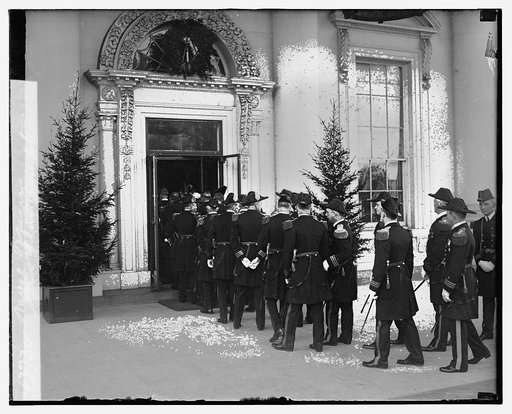 Naval officers, New Year Reception