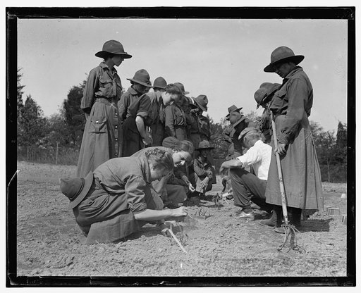 Camp: planting seeds?
