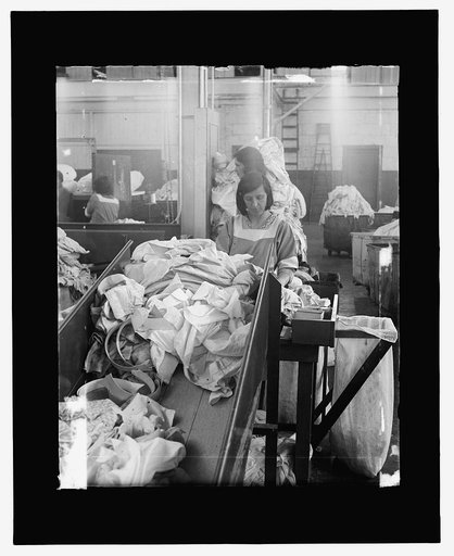 Tolman Laundry, Wash. D.C.