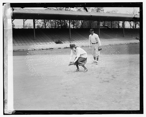 Girls baseball
