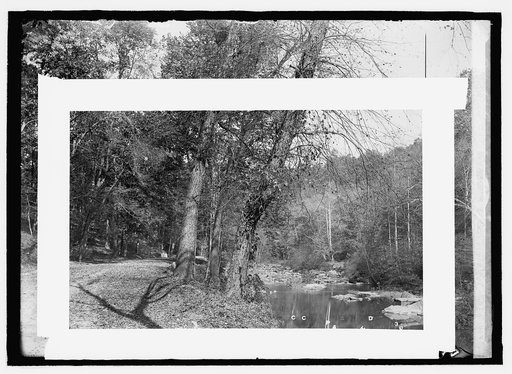 Rock Creek Park