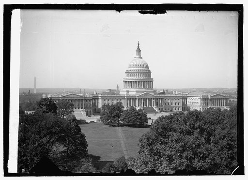 Capitol from Library