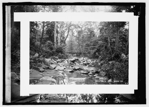 Rock Creek Park