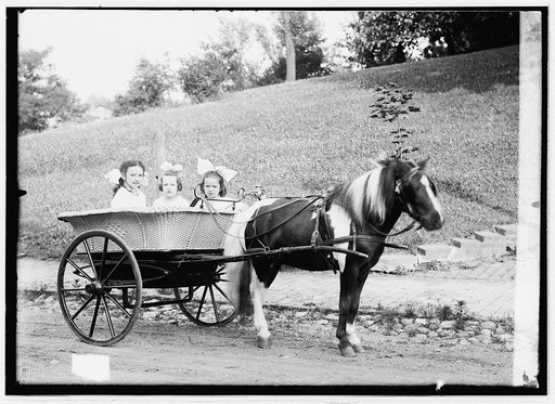 Dorothy in Lindsay's pony cab