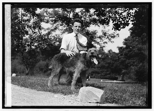 Worth Bagley, Spaniel