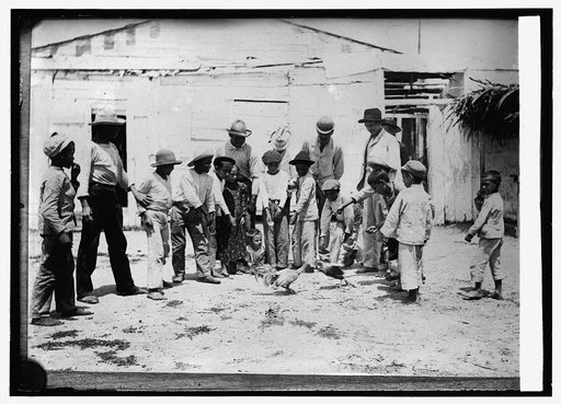 Porto [i.e., Puerto] Rico. cock pit