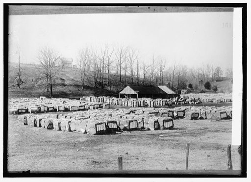 Baled cotton