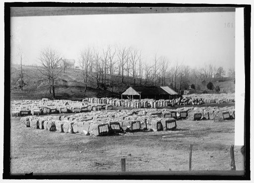 Baled cotton