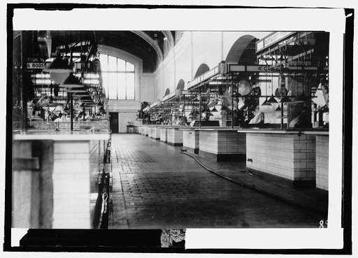 Interior, modern sanitary market