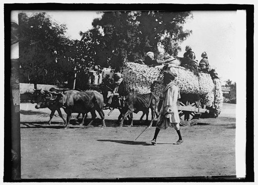 Transportation in India