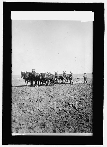 Indian farming