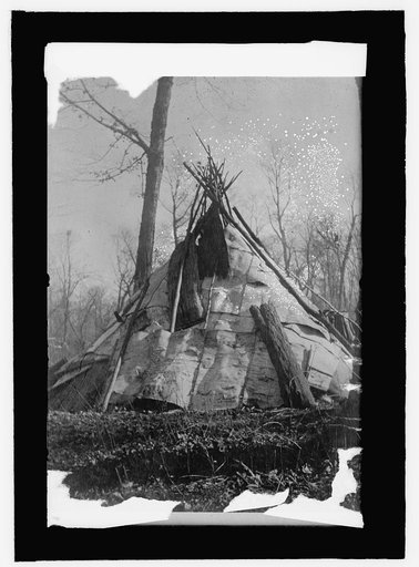 Chippewa birch bark wigwam